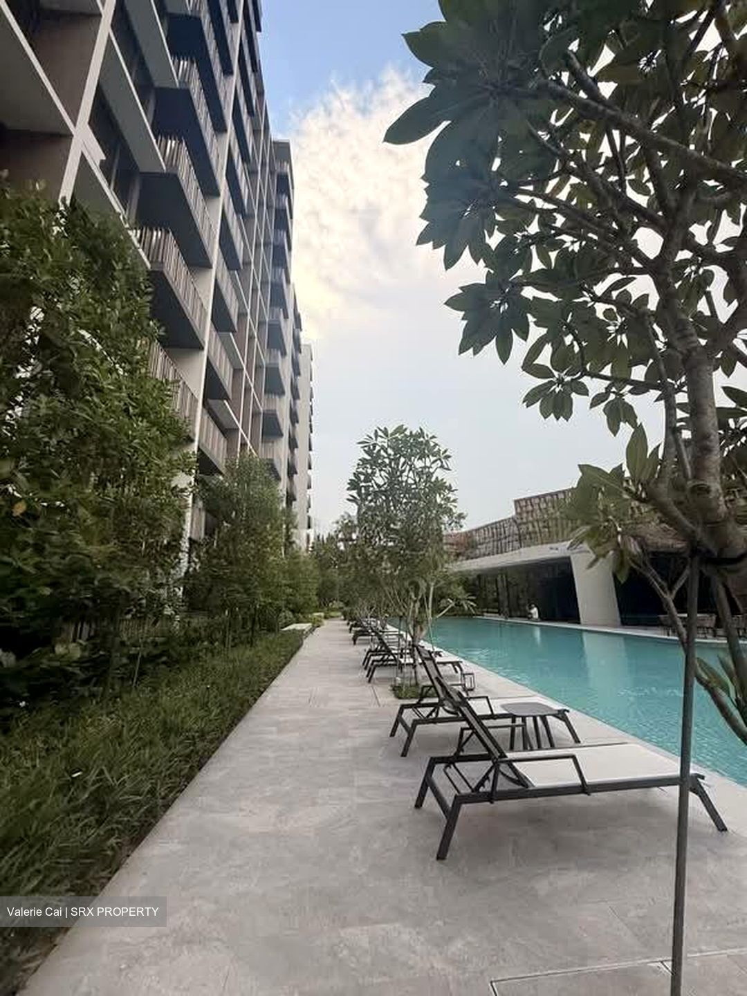 Norwood Grand (D25), Apartment #599453301
